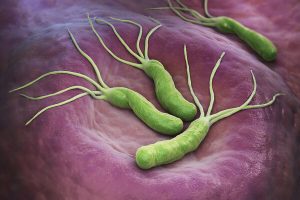 Những hành động làm tăng nguy cơ nhiễm Helicobacter pylori