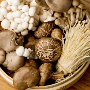Ăn nhiều nấm có thể làm giảm nguy cơ ung thư tuyến tiền liệt